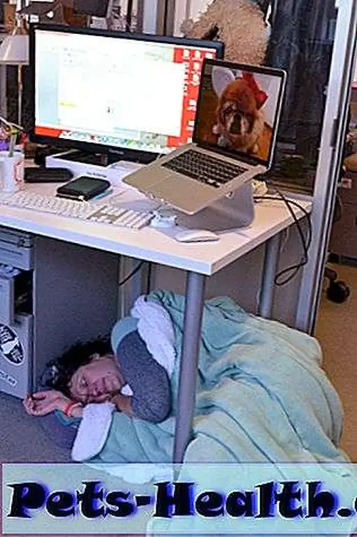 Looks comfy, eh? Looks comfy, eh?