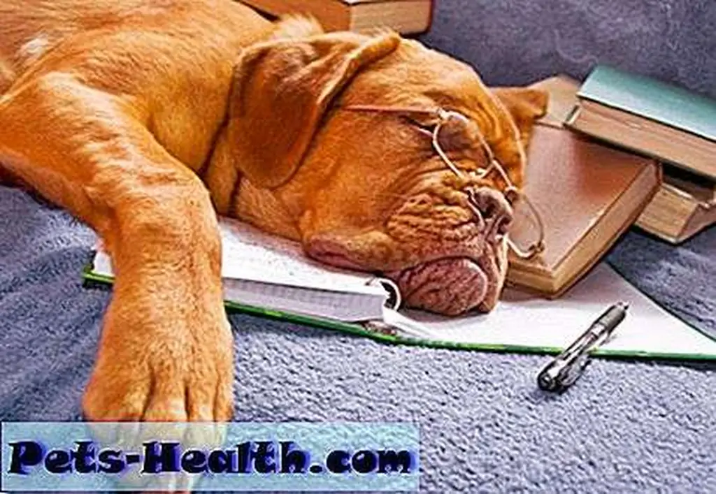 I'm all writed out. Via Shutterstock