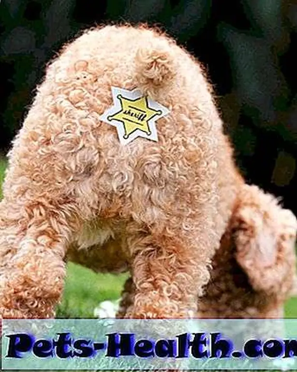 Image Image