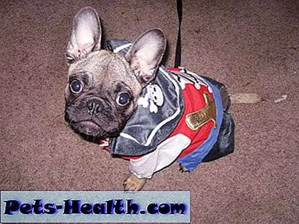 Well, look at this wee barnacle -- it's member Lucas! Well, look at this wee barnacle -- it's member Lucas!