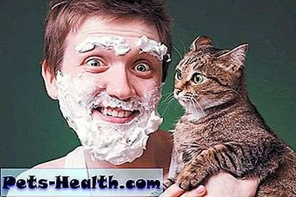 Image Image