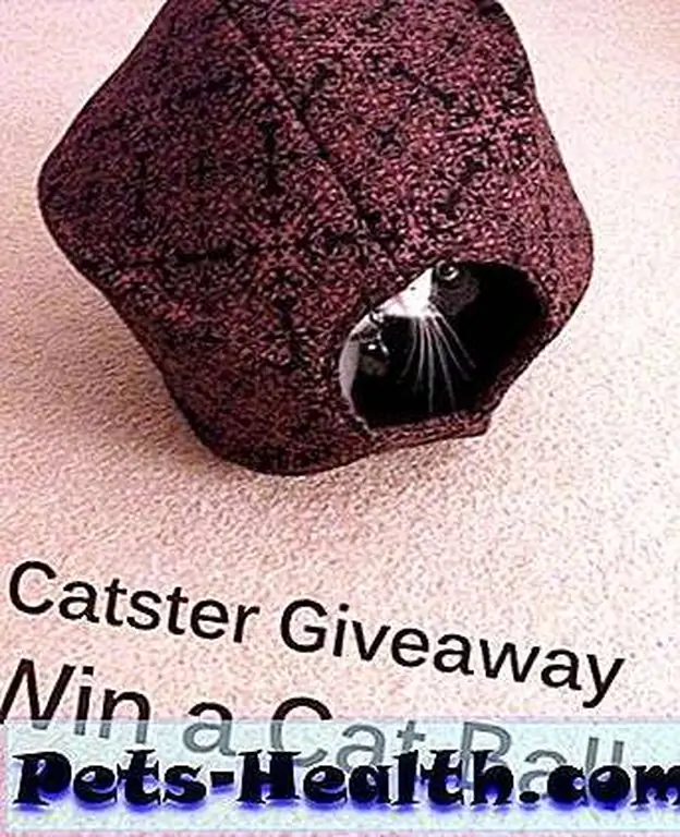 Cat Ball Giveaway! Cat Ball Giveaway!