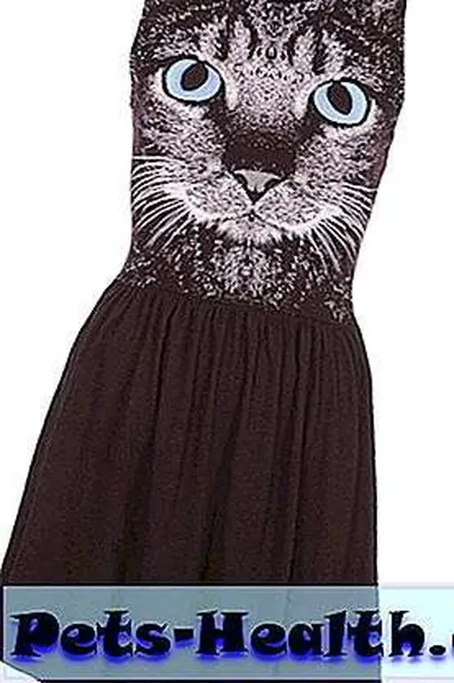 Petite Cat Motif Skater Dress Petite Cat Motif Skater Dress