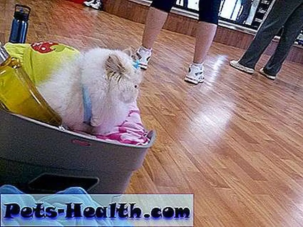 Watching the water bottle. It's hard work. Watching the water bottle. It's hard work.