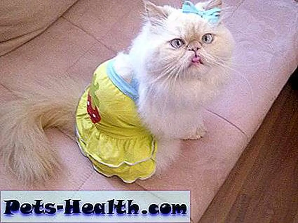 Looking cute in neon Looking cute in neon