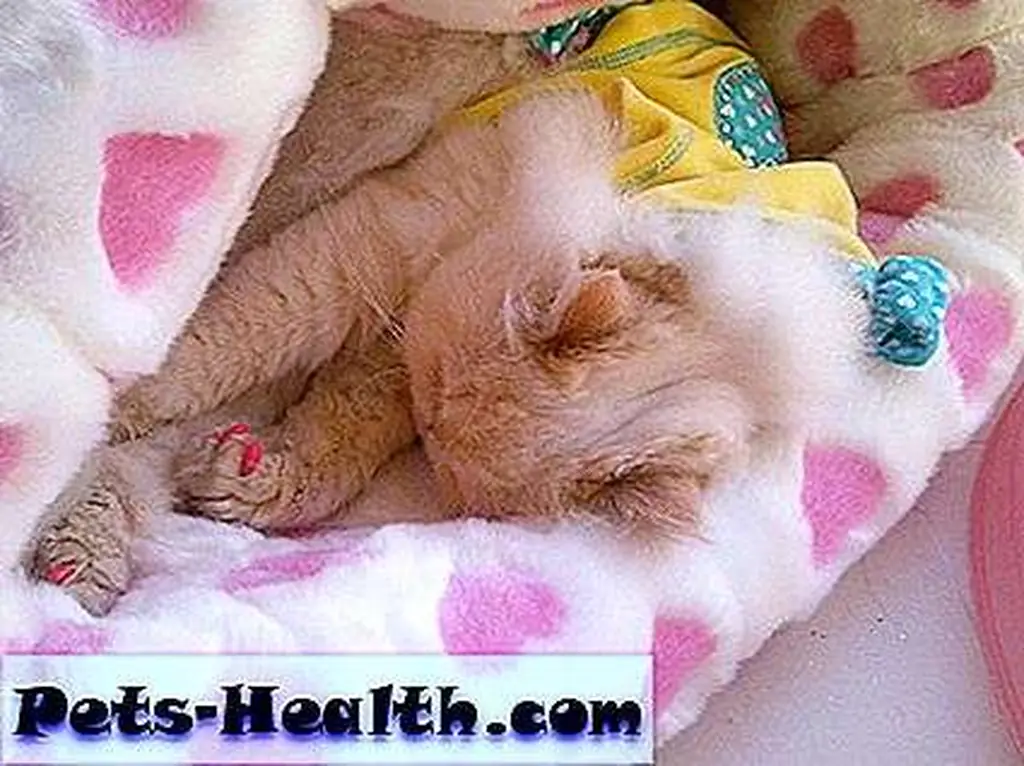 I had to stay cozy because it was soooo cold. I had to stay cozy because it was soooo cold.