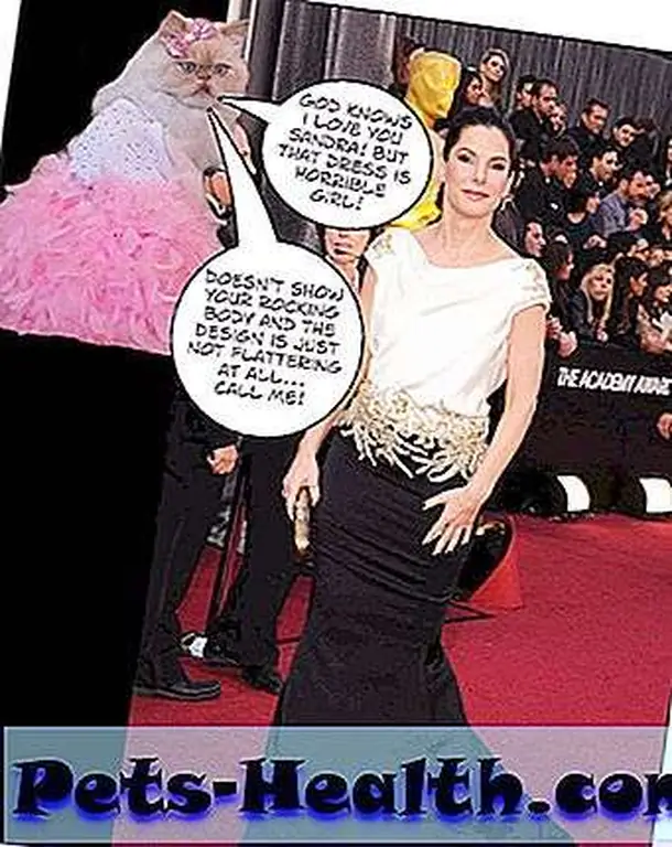 Sandra Bullock has a rockin' bod … but you'd never know. Sandra Bullock has a rockin' bod … but you'd never know.