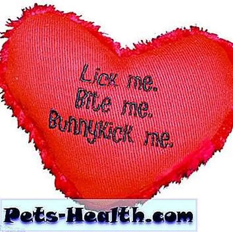 Valentines_Giveaway Valentines_Giveaway