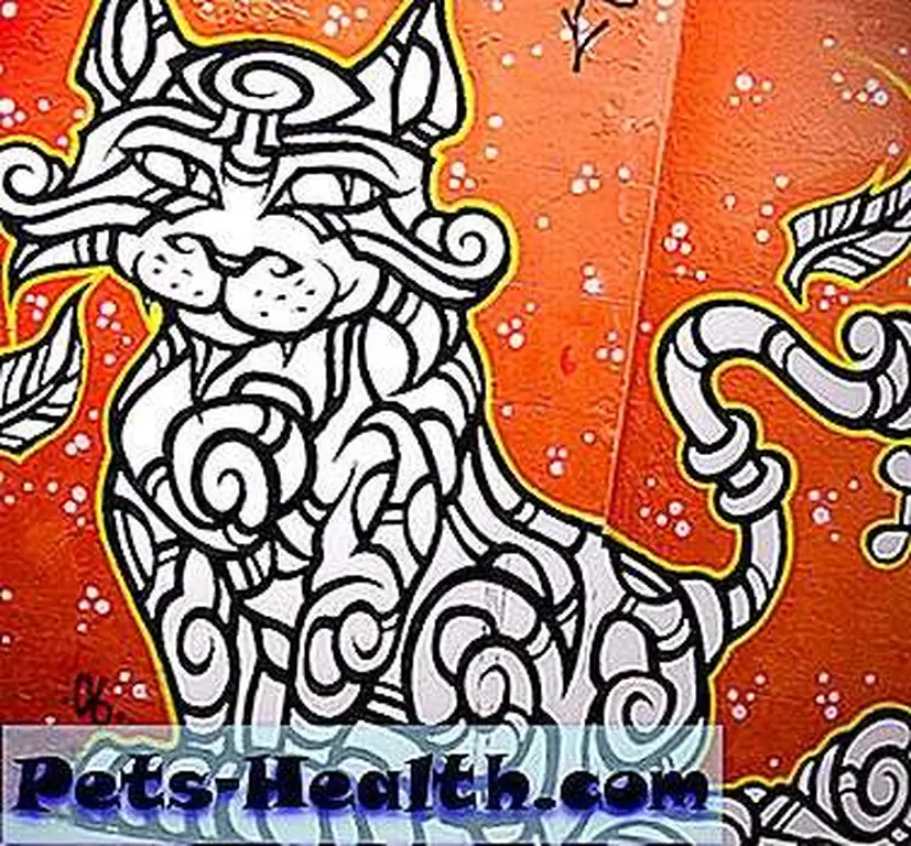 CatGraffitti__02 CatGraffitti__02