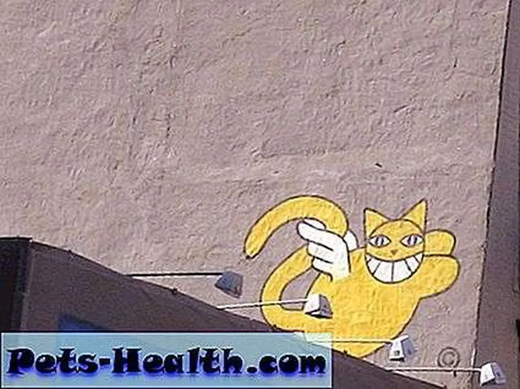 CatGraffitti__01 CatGraffitti__01