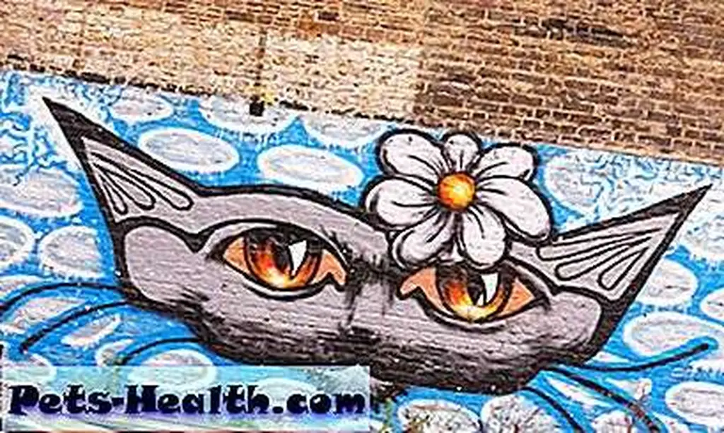 CatGraffitti__08 CatGraffitti__08