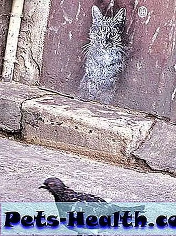 CatGraffitti__09 CatGraffitti__09