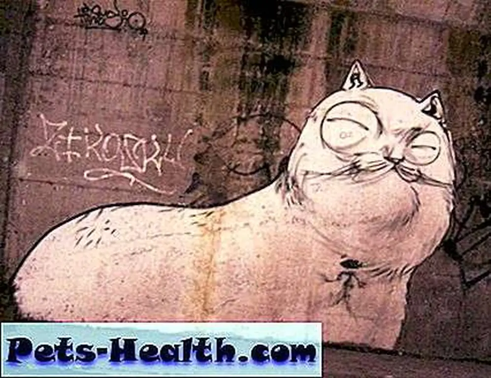 CatGraffitti__10 CatGraffitti__10