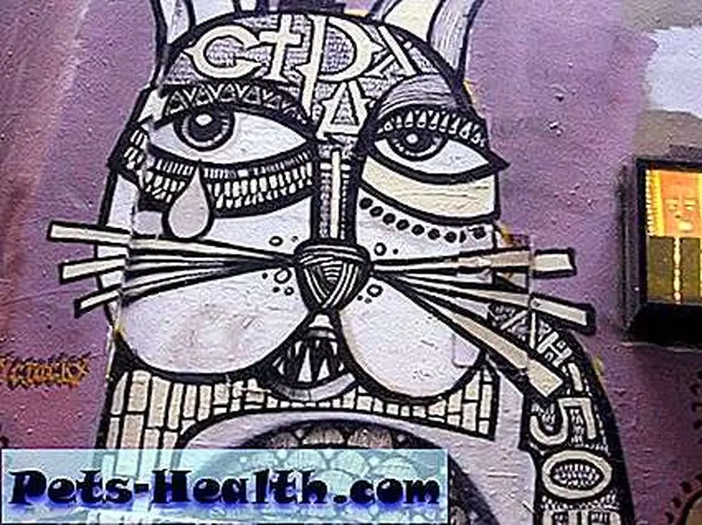 CatGraffitti__06 CatGraffitti__06
