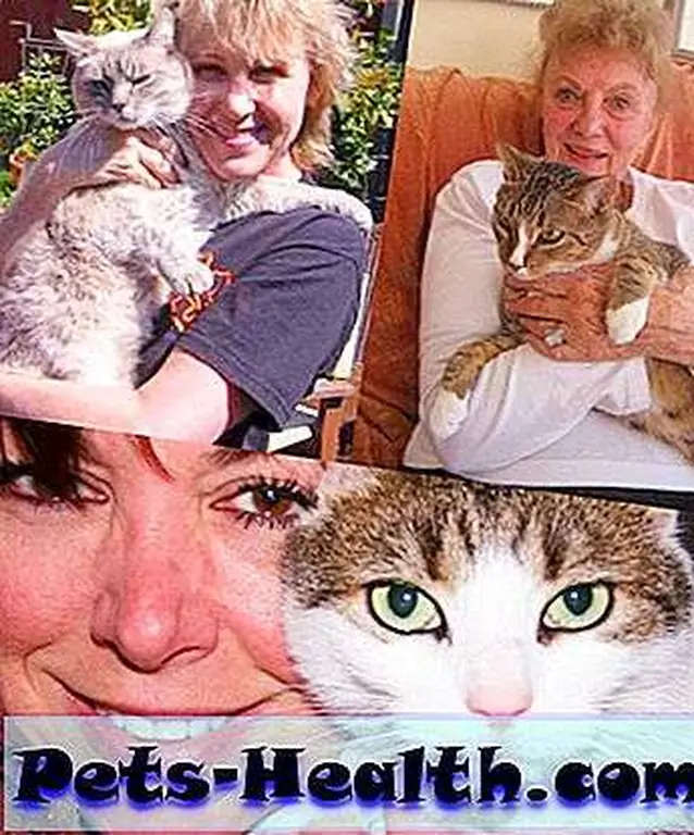 catmoms catmoms