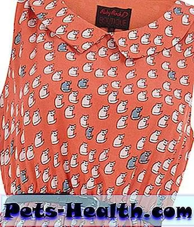 Coral Cat Print Belted Dress Coral Cat Print Belted Dress