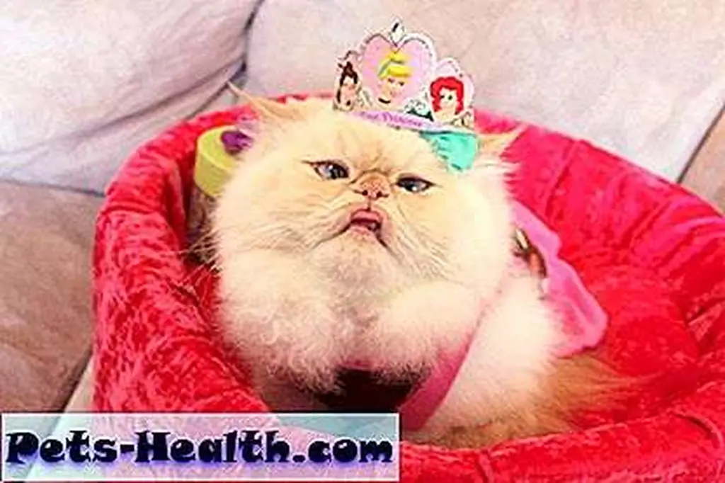 I'm the queen! I'm the queen!