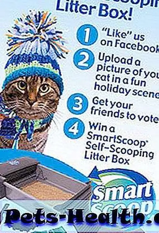 How to win the self-scooping box How to win the self-scooping box