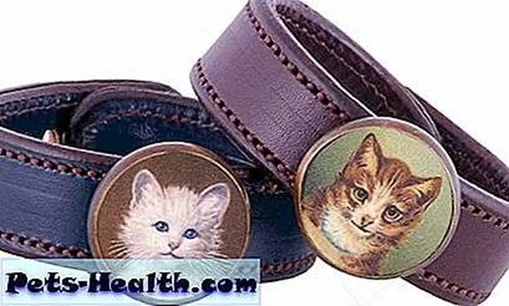 Leather Bracelets with Cat Rosette Leather Bracelets with Cat Rosette