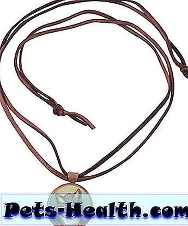 Necklace with Cat Rosette Necklace with Cat Rosette