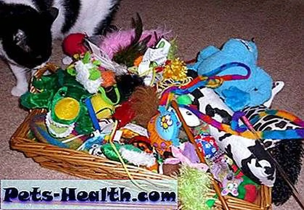 Guesses were based on this toy basket. Guesses were based on this toy basket.