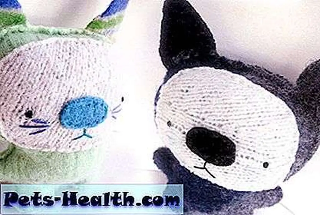 You can choose a kitty that best matches your real cat. You can choose a kitty that best matches your real cat.