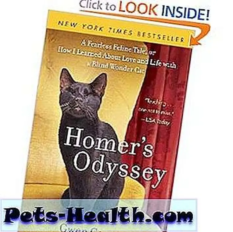 bikecat__15_flickr bikecat__15_flickr