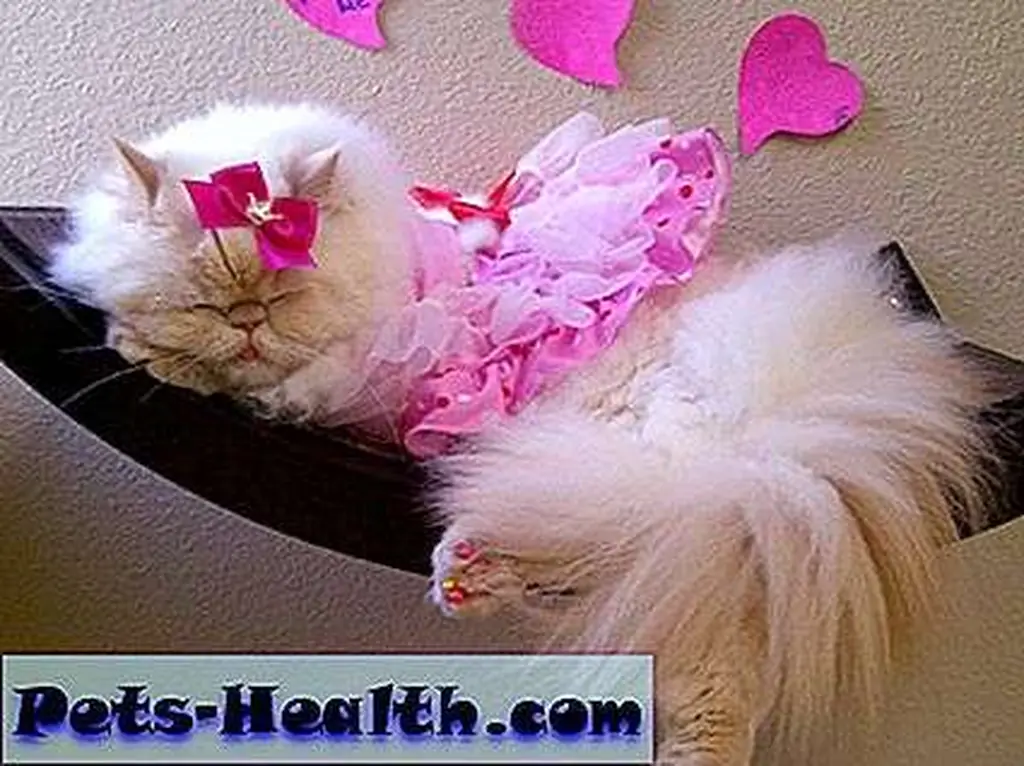 Beauty sleep are very impurrtant!
