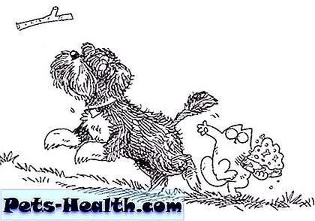 obama-dog-2 obama-dog-2