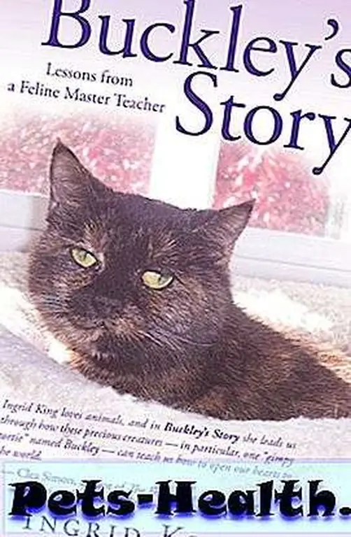 buckleys-story-ingrid-king-cat-book-lg