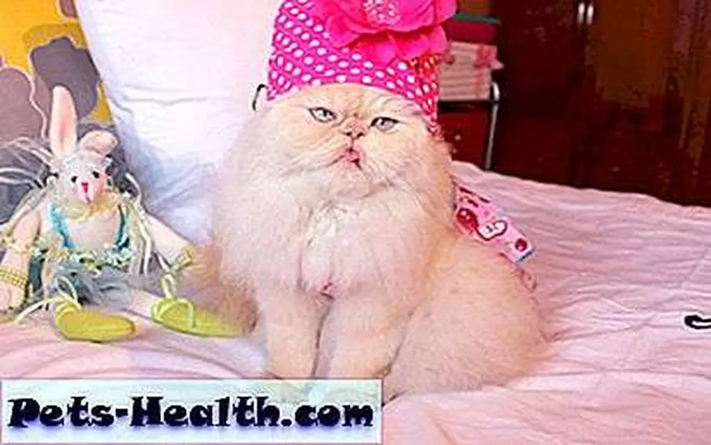 I should get a medal fur try to be a good hostess fur reals!