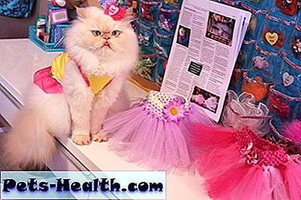 Thanks sooo much fur the tutus girl and the Interview was so much fun!