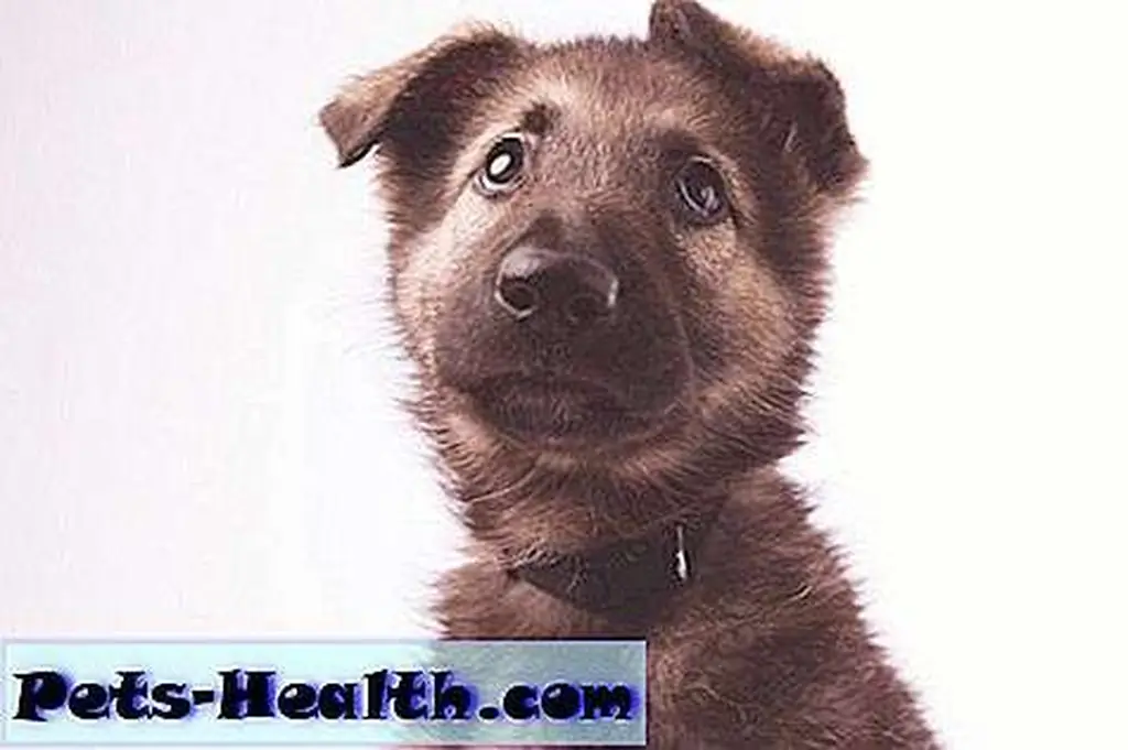 Image Image