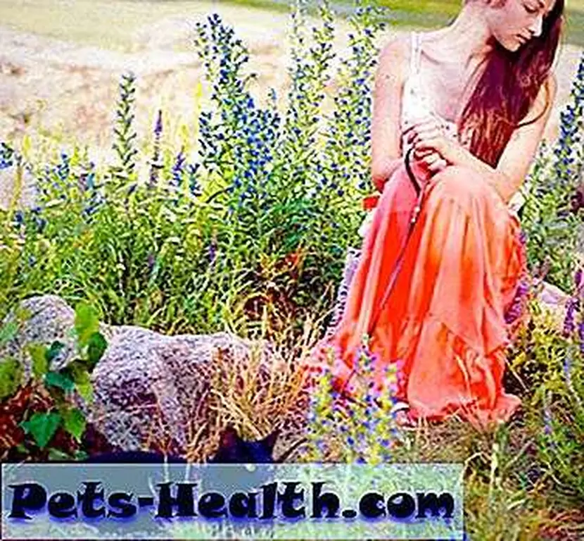 Indoor-outdoor cats can often pick up parasites. Woman and cat on leash by Shutterstock Indoor-outdoor cats can often pick up parasites. Woman and cat on leash by Shutterstock