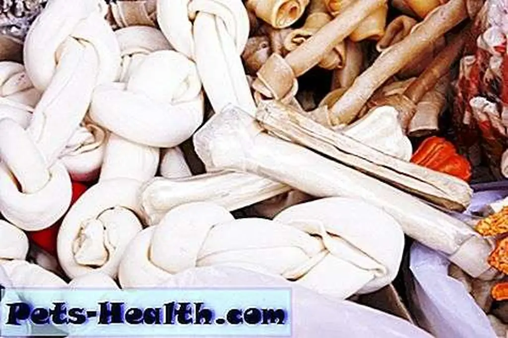 What should I choose? -- dog bones by wonlopcolors / Shutterstock What should I choose? -- dog bones by wonlopcolors / Shutterstock