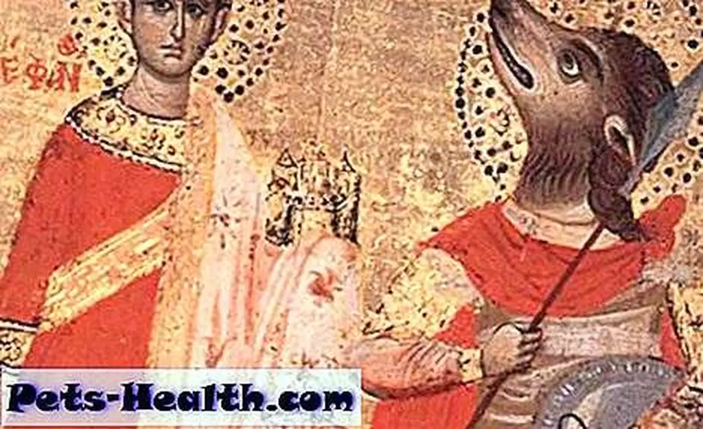 Guinefort, dog-headed saint. Guinefort, dog-headed saint.