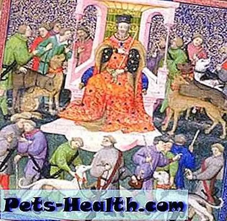 Saint Guinefort depicted in a miniature. Photo by Sailko/Wikimedia Commons Saint Guinefort depicted in a miniature. Photo by Sailko/Wikimedia Commons