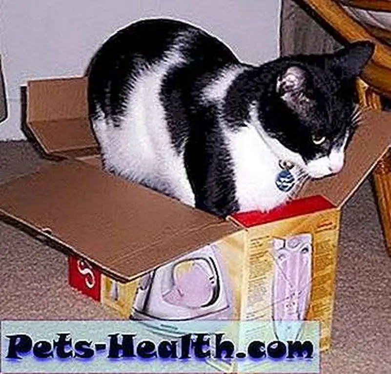I like boxes of all shapes and sizes! I like boxes of all shapes and sizes!