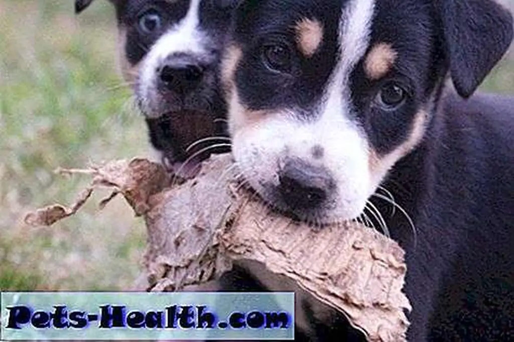 Image Image