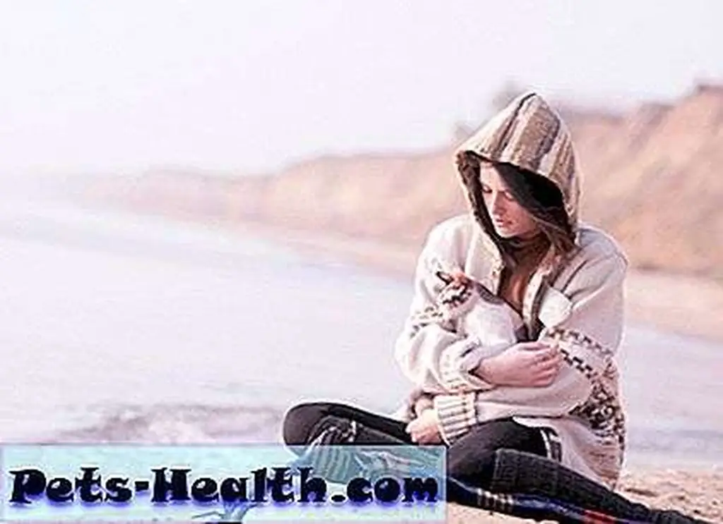 Woman sitting on the beach hugging her cat by Shutterstock Woman sitting on the beach hugging her cat by Shutterstock