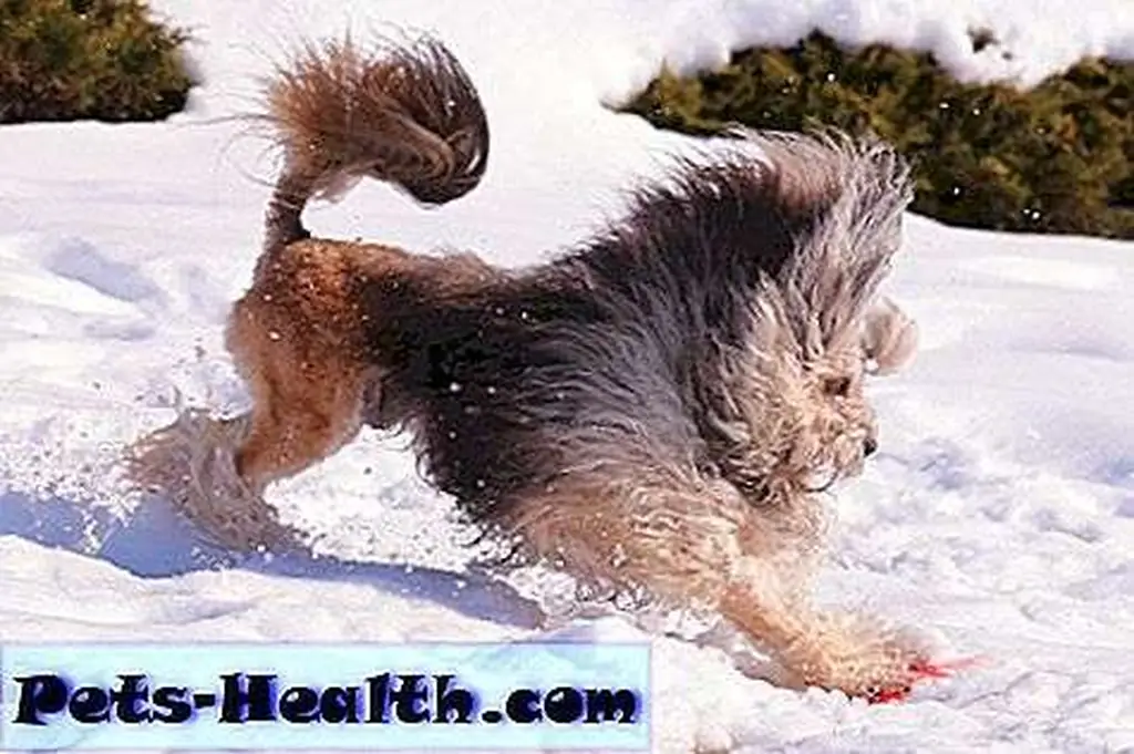 Image Image