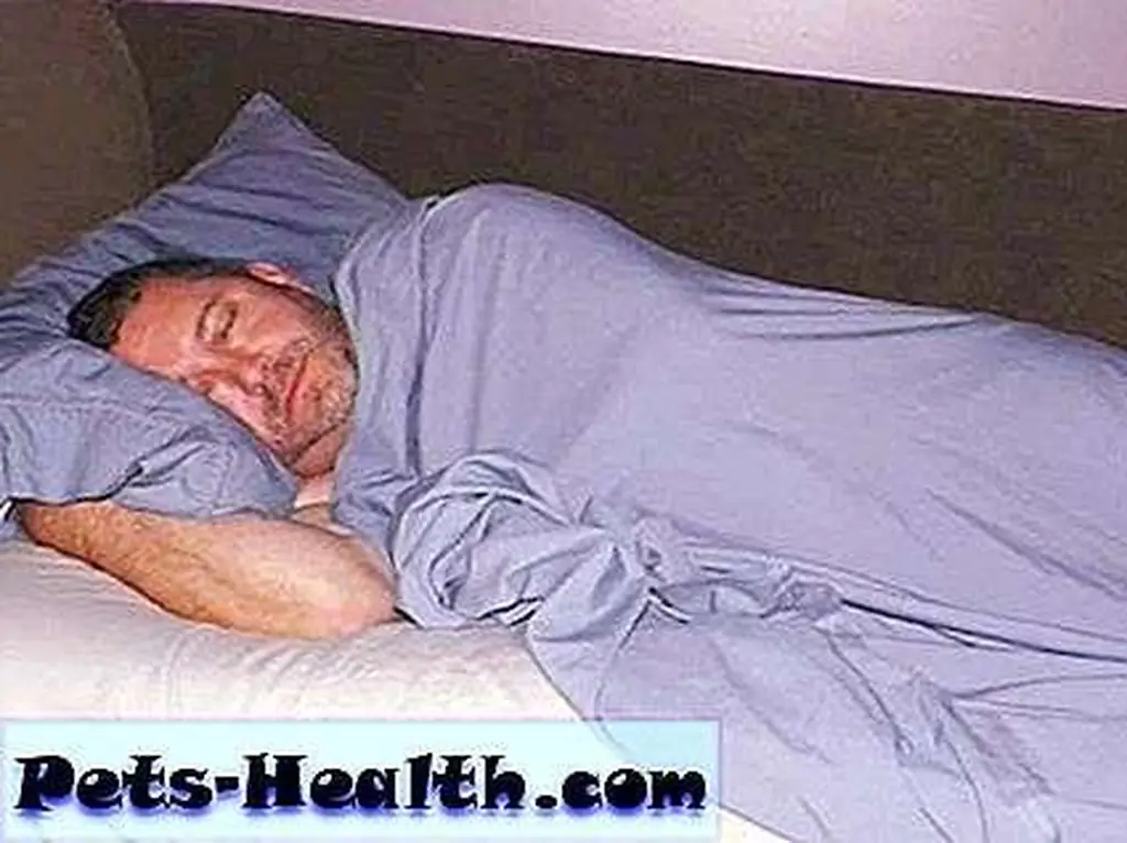 My husband, John, sleeping on the couch. Sigh. My husband, John, sleeping on the couch. Sigh.