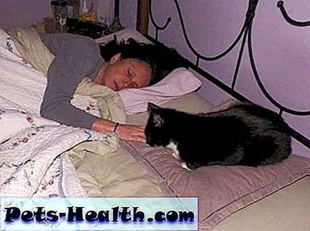Me and Cosmo. I know I'll have to sneak out to the bathroom without waking him. Me and Cosmo. I know I'll have to sneak out to the bathroom without waking him.