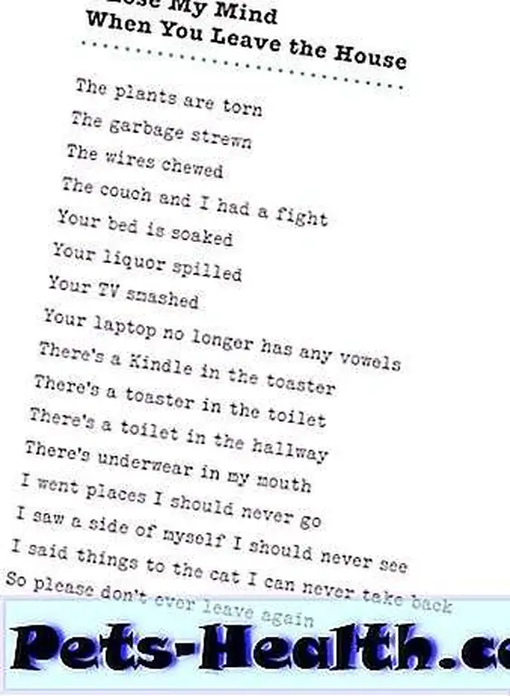 Excerpt from Excerpt from