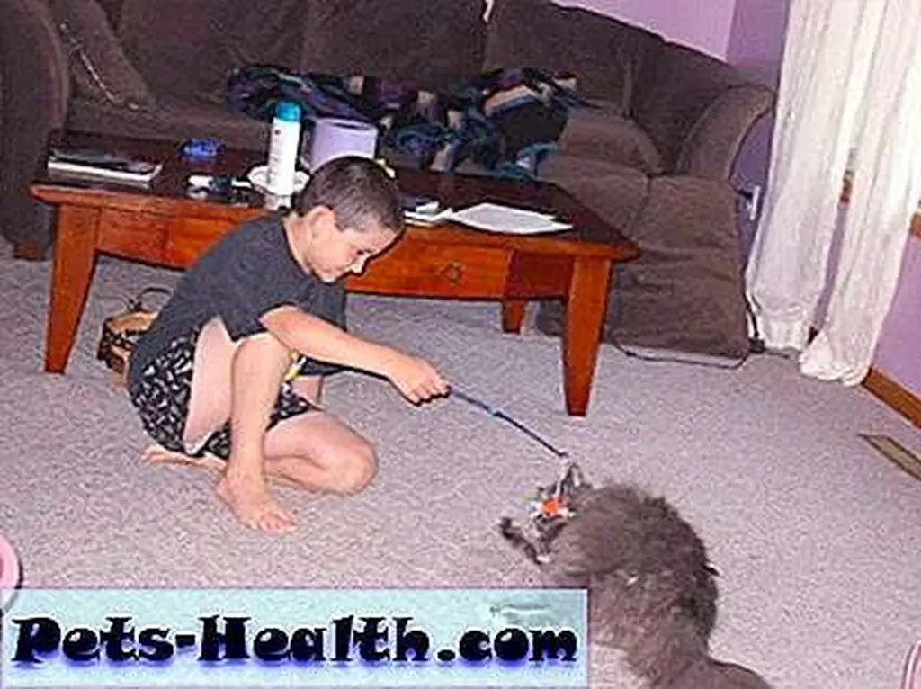 My son plays with Saffy, our giant slug. My son plays with Saffy, our giant slug.