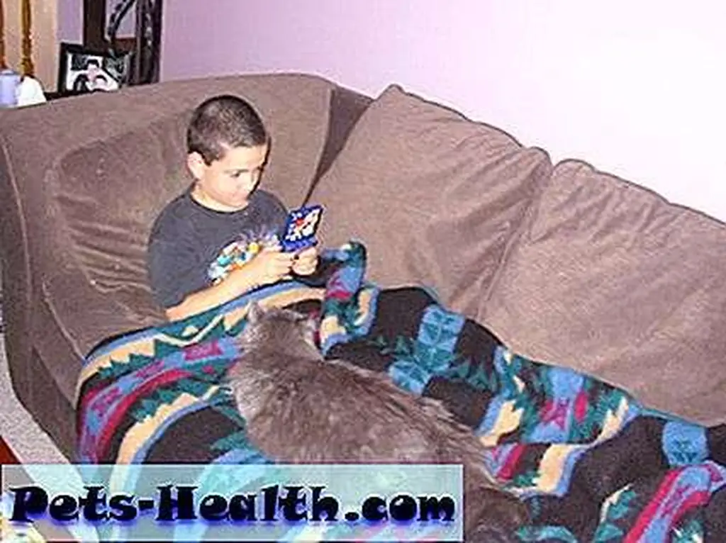 Ben and Saffy enjoy some relaxing down time. Ben and Saffy enjoy some relaxing down time.