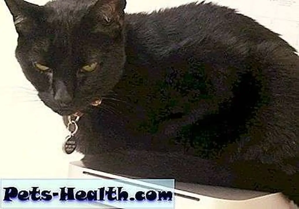 Siouxsie likes to while away the time on her 