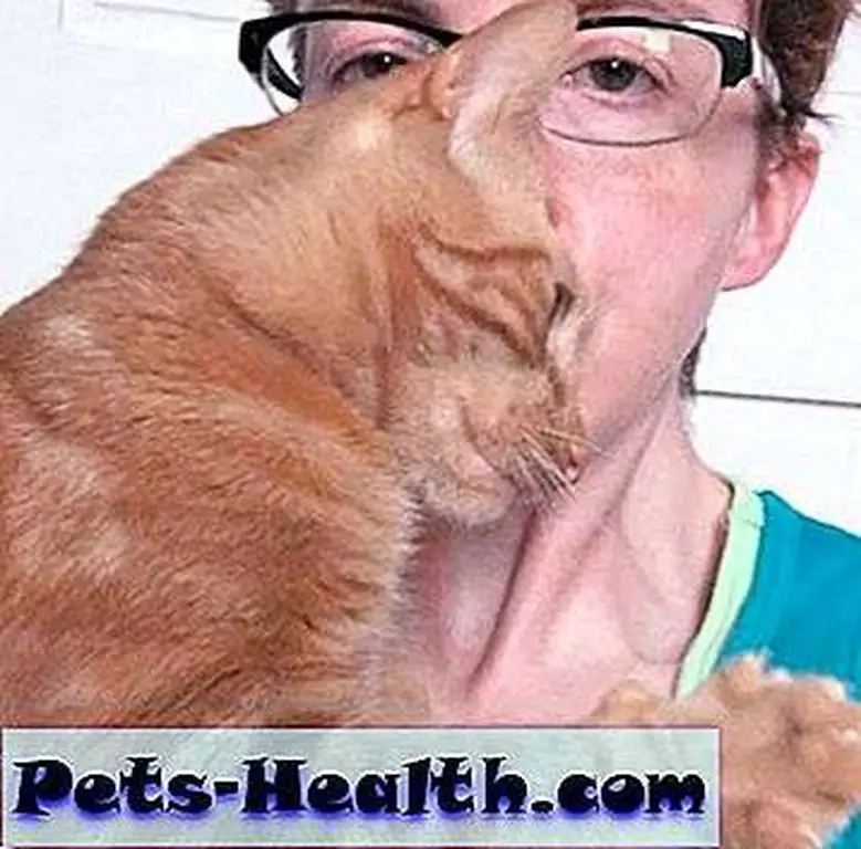 Kissy gives me a hug. Photo by JaneA Kelley