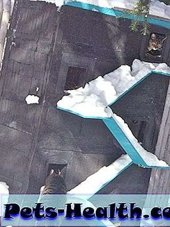 The cat shelter probably saves feral cats' lives in the winter. (Photo courtesy Sheila Massey) The cat shelter probably saves feral cats' lives in the winter. (Photo courtesy Sheila Massey)