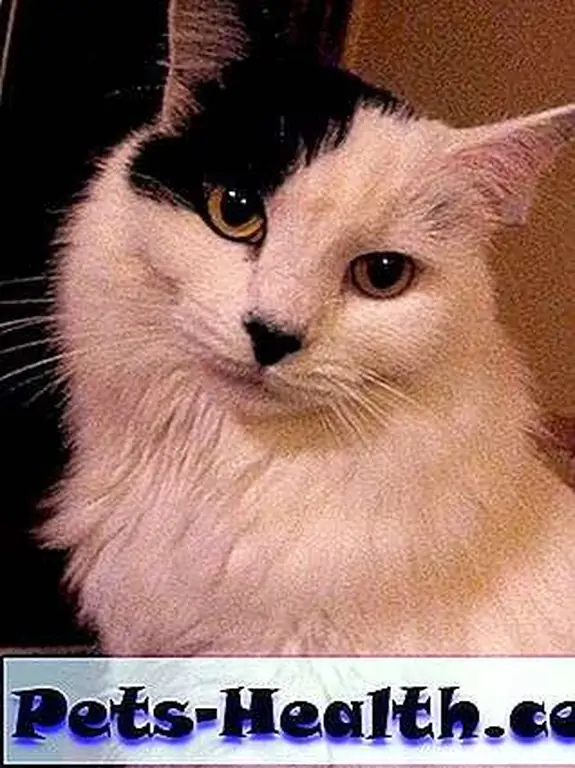 My feisty Agnes. My feisty Agnes.